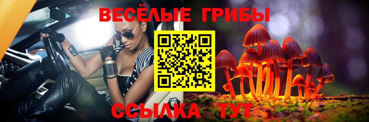 Псилоцибиновые грибы мицелий  Вход с VPN  Владикавказ 
